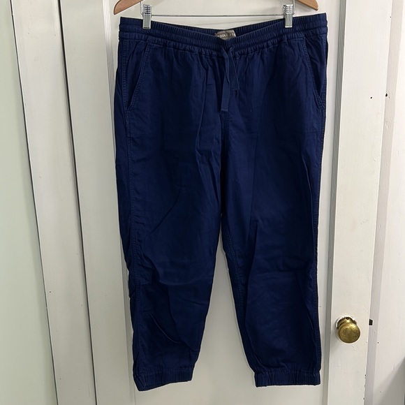 EUC Point Sur x J Crew 100% cotton joggers size 16 (navy blue) - Picture 4 of 7